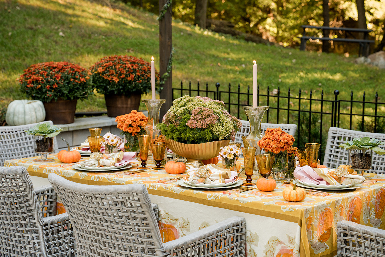 The Fall Collection