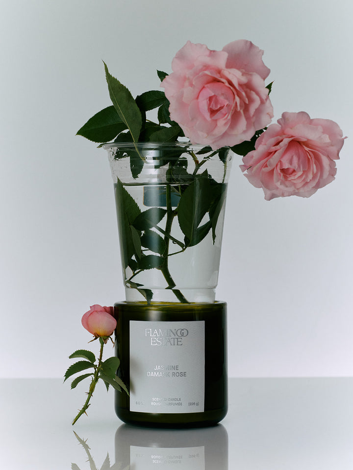 Flamingo Estate Jasmine Damask Rose Candle