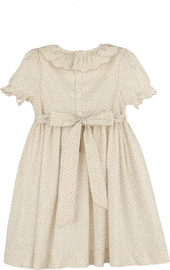Beige floral dress on a white background