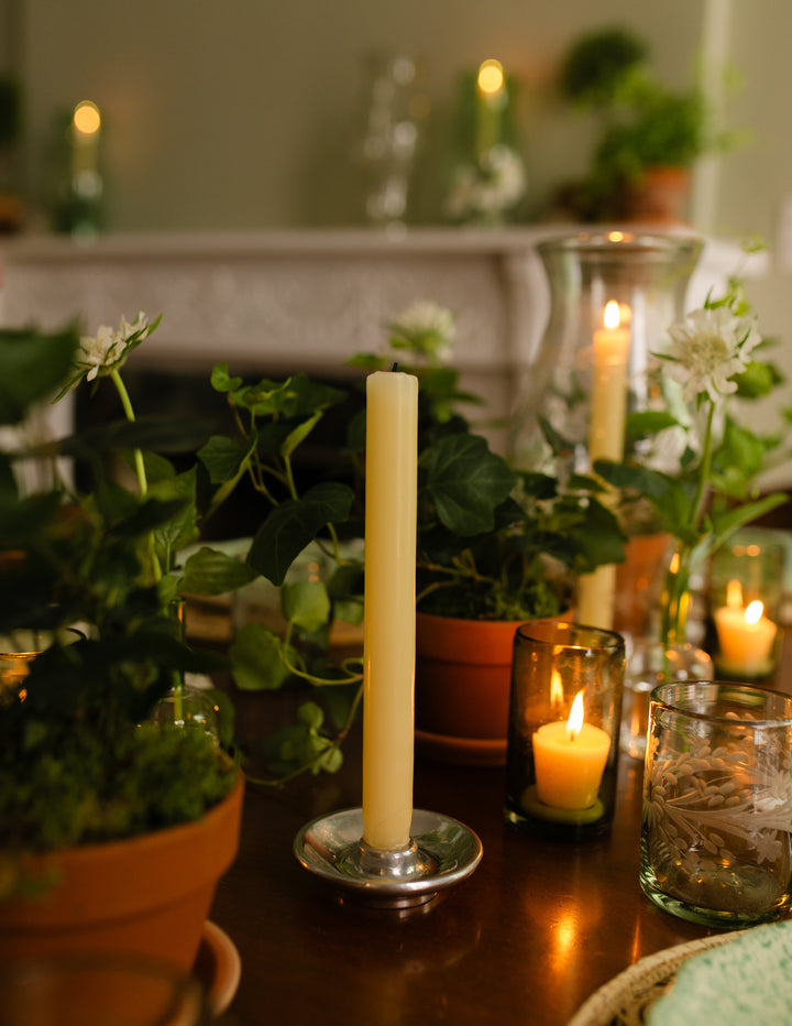 Candlelit table setting with potted plants and candles in a cozy indoor setting.