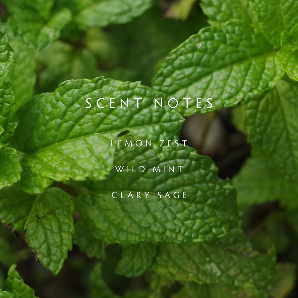 Close-up of green leaves with text 'SCENT NOTES' and a list of scents.