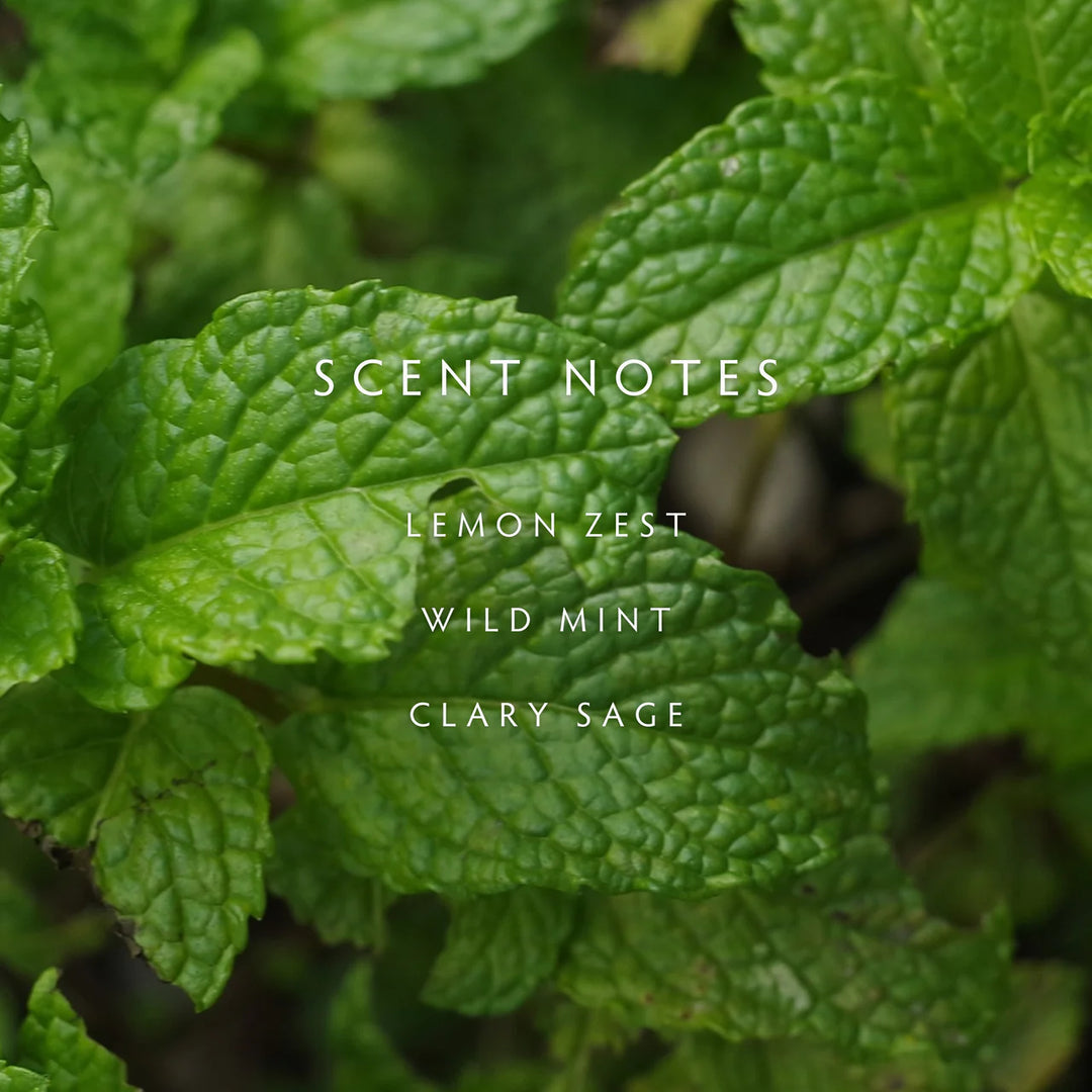 Close-up of green leaves with text 'SCENT NOTES' and a list of scents.
