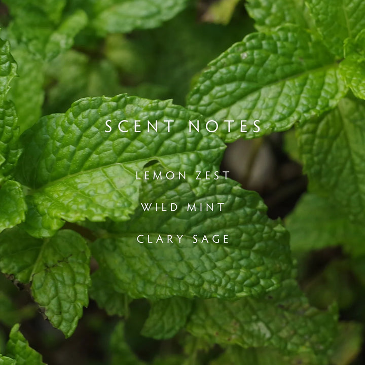 Close-up of green leaves with text 'SCENT NOTES' and a list of scents.