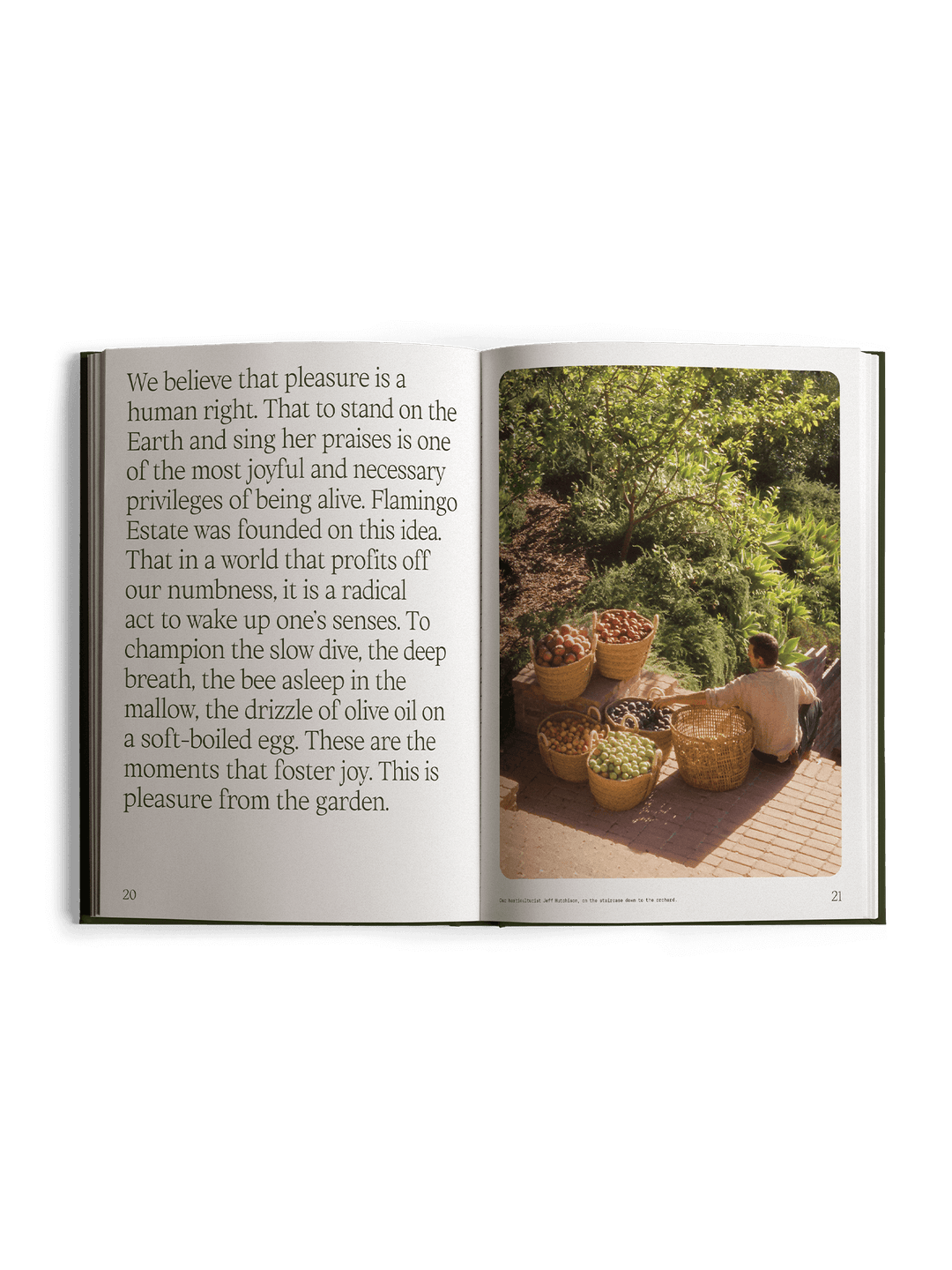 Open book with text and a photo of a person tending to plants in a garden.