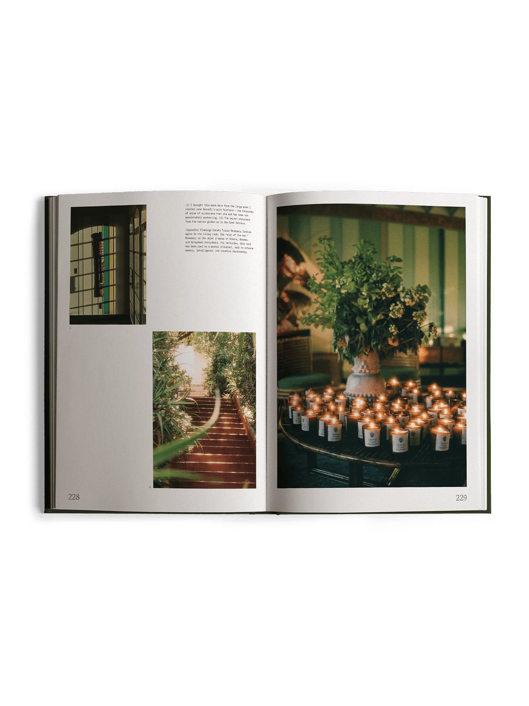 Open book showing interior design images with plants and candles.