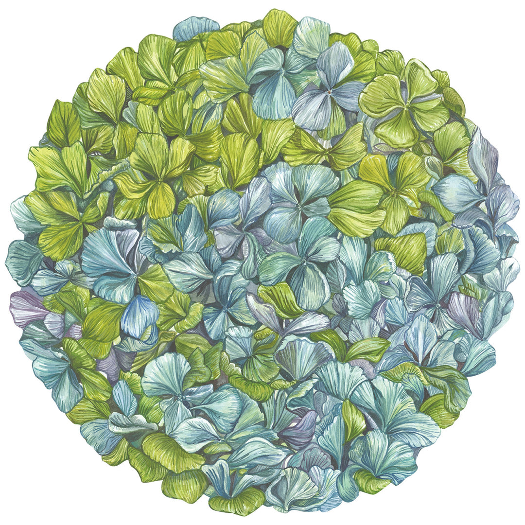 Blue and Green Hydrangea Flower Placemat