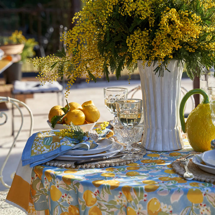 Citron Blue & Yellow Napkins - Set of 6