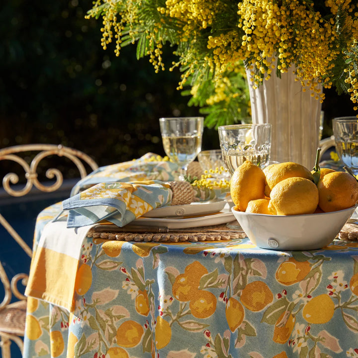 Citron Blue & Yellow Napkins - Set of 6