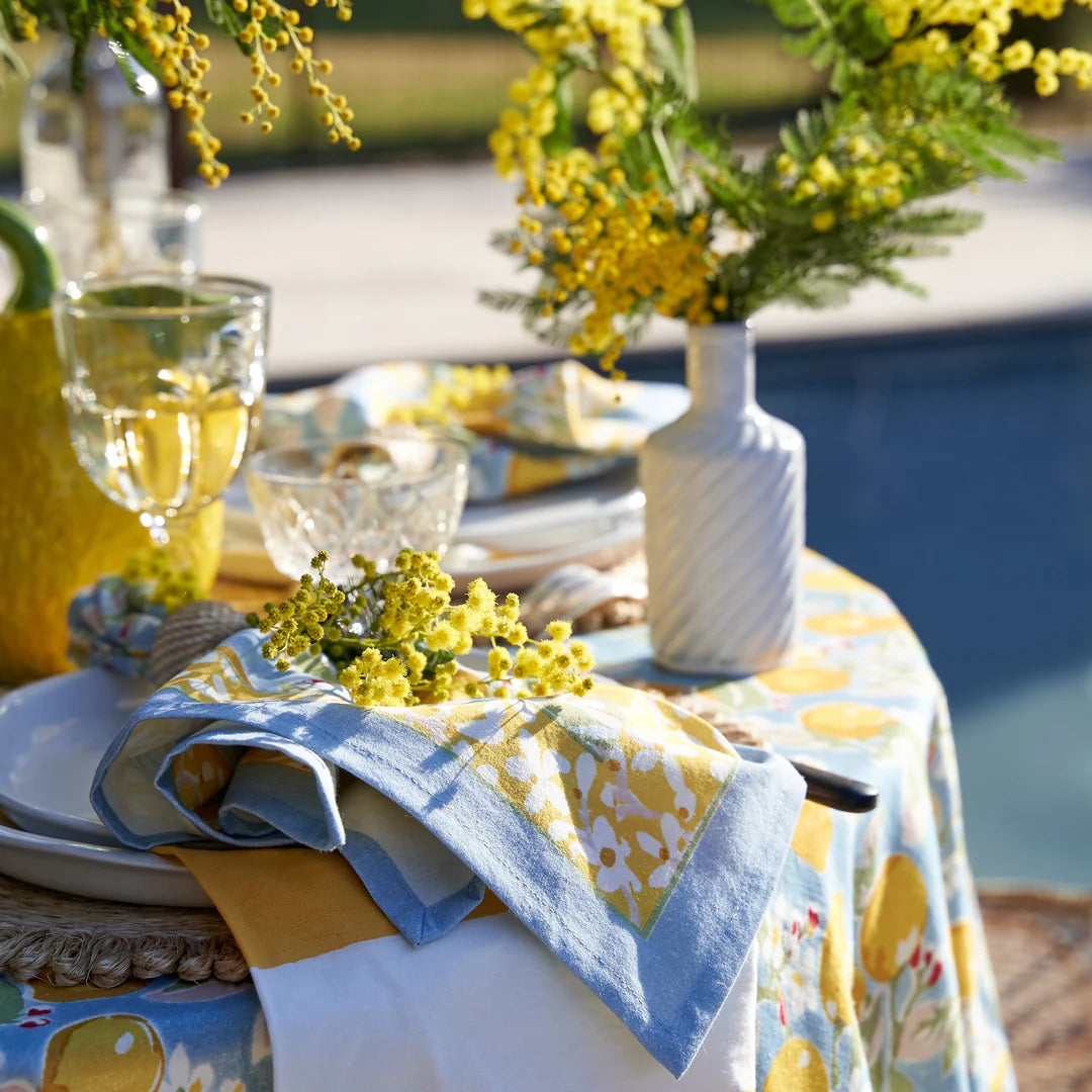 Citron Blue & Yellow Napkins - Set of 6
