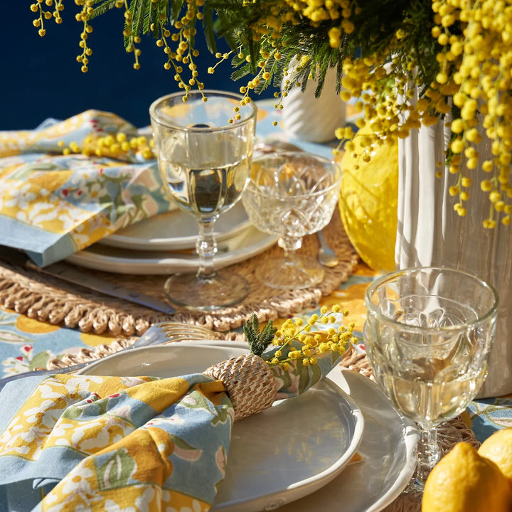 Citron Blue & Yellow Napkins - Set of 6