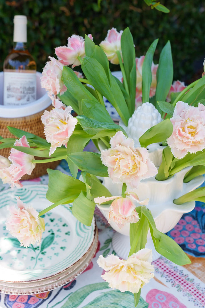 Artichoke Tulipiere White - Large