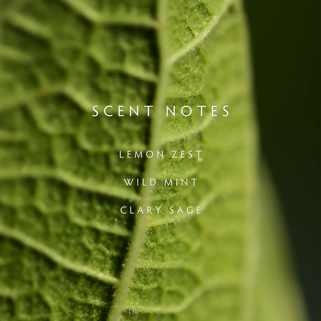 Close-up of a green leaf with text 'SCENT NOTES' and a list of scents on a dark background.