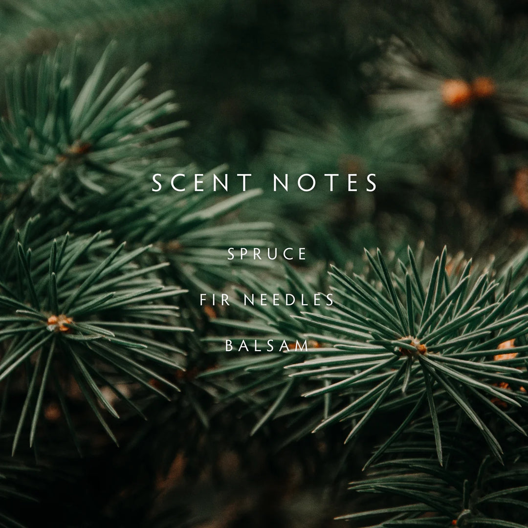 Close-up of pine needles with 'Scent Notes' text overlay on a dark green background