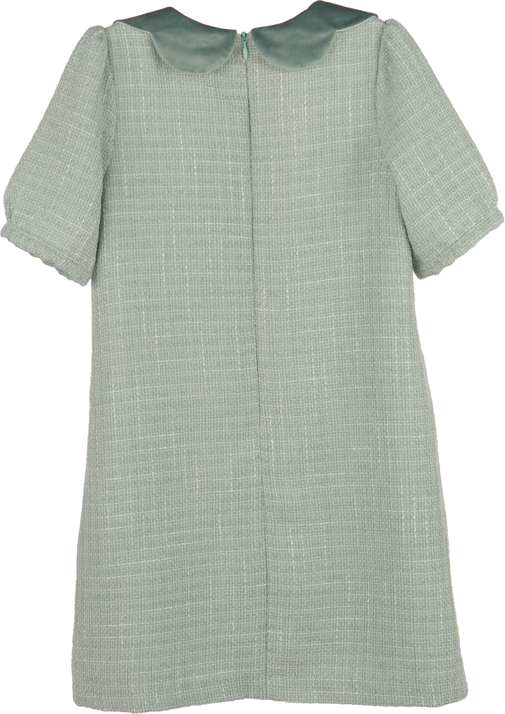 A short-sleeved dress in a light sage green and white textured tweed fabric, featuring a contrasting solid sage green Peter Pan collar and a front zipper closure.