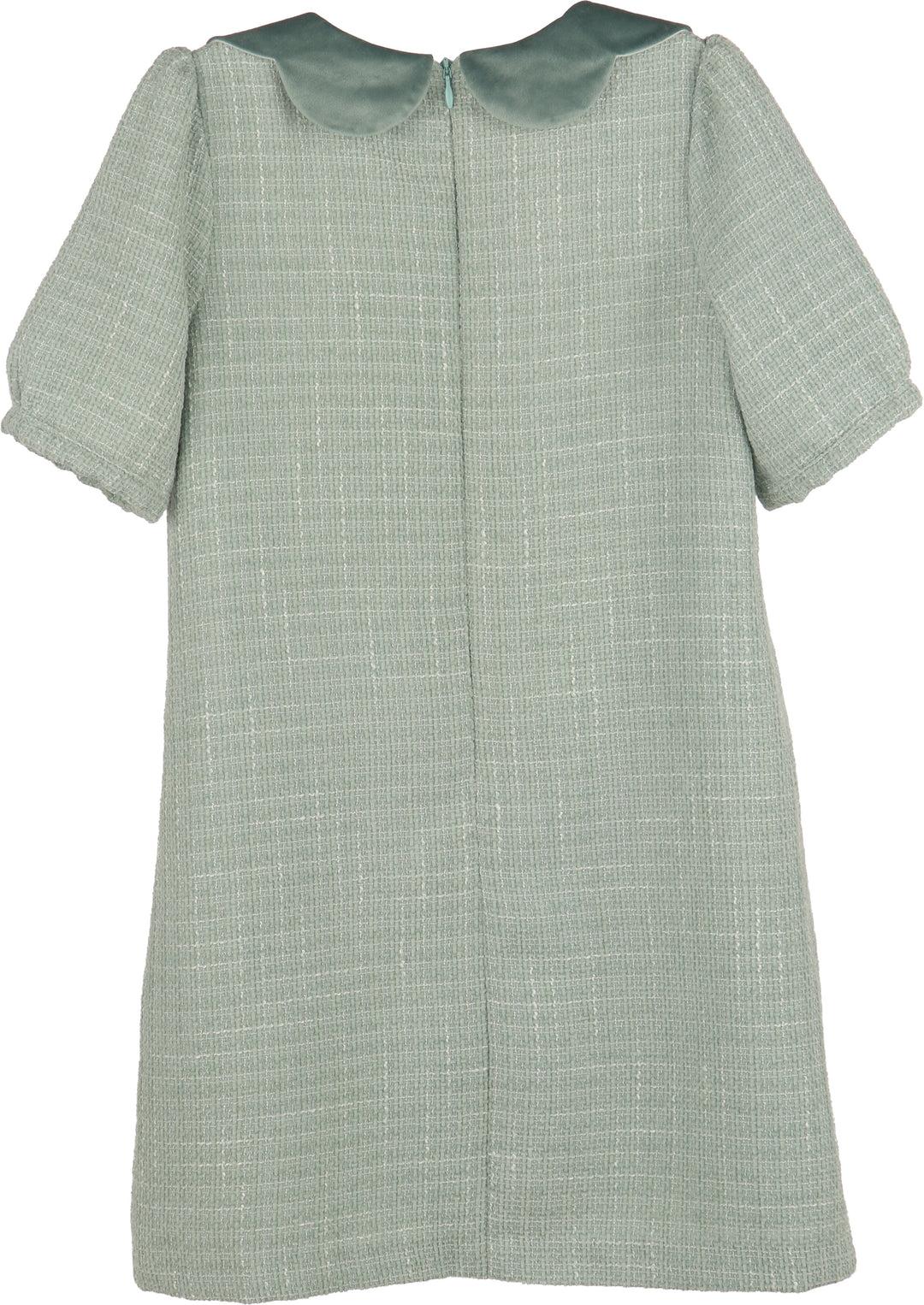 A short-sleeved dress in a light sage green and white textured tweed fabric, featuring a contrasting solid sage green Peter Pan collar and a front zipper closure.