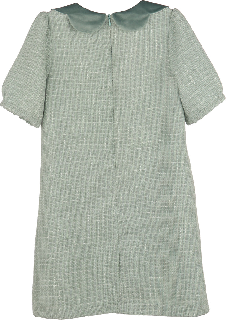 A short-sleeved dress in a light sage green and white textured tweed fabric, featuring a contrasting solid sage green Peter Pan collar and a front zipper closure.