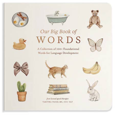 Book cover of 'Our Big Book of Words' with illustrations of everyday objects and animals.