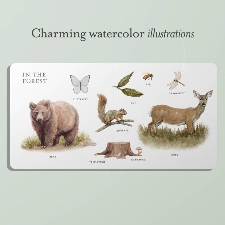 Illustrations of a bear, tree stump, squirrel, leaf, butterfly, bee, mushroom, and deer on a light green background with text 'Charming watercolor illustrations'.
