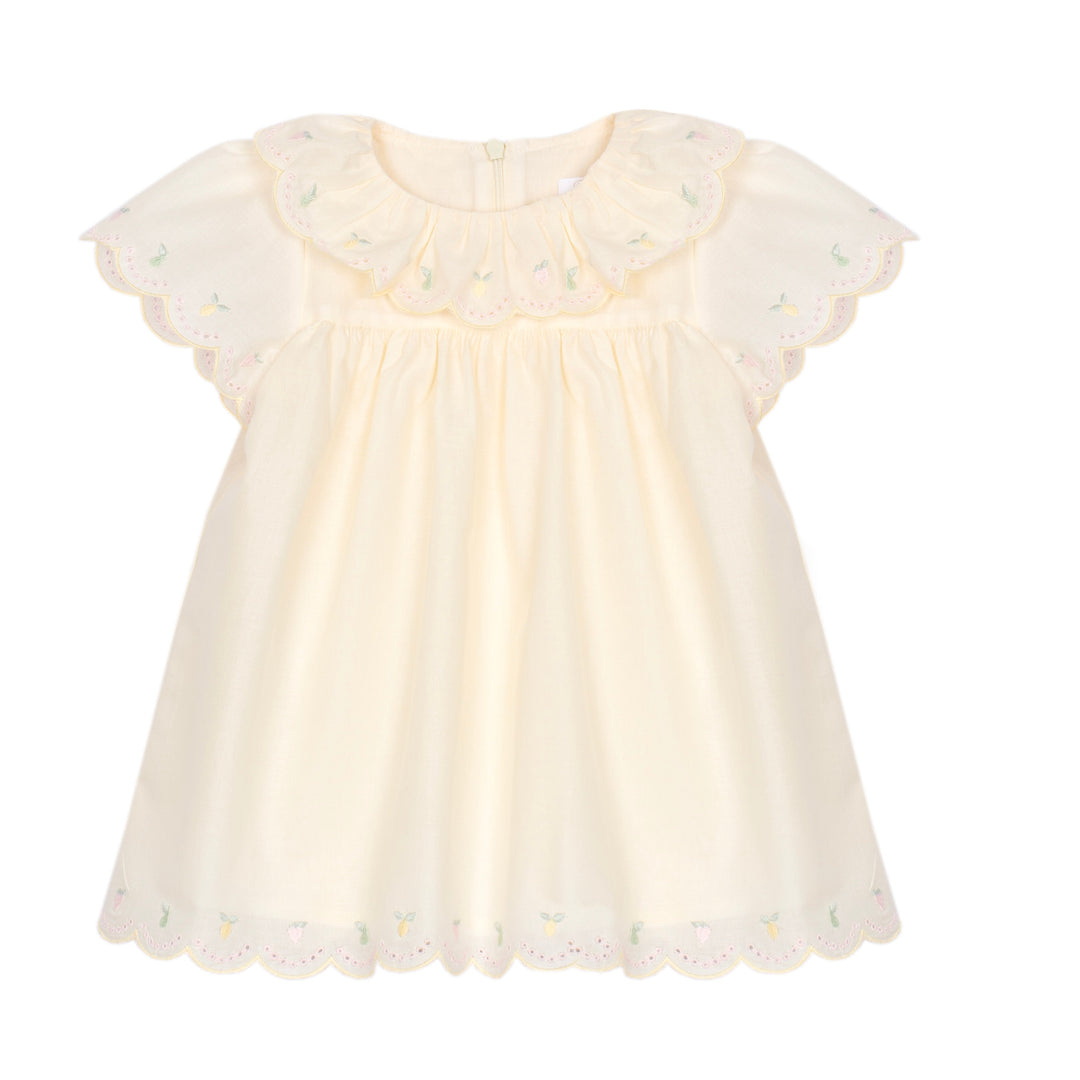 Pale Yellow Citrus embroidered baby girl dress