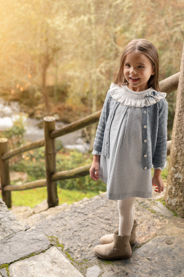 A young girl stands on stone steps outdoors wearing a light gray and white gingham dress with a ruffled white collar, a blue-gray button-front cardigan, white tights, and beige ankle boots. A wooden fence and blurred trees are in the background.