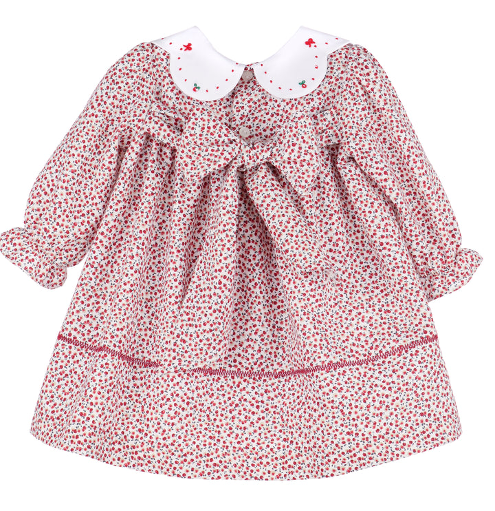 Apple Orchard Dress - Red