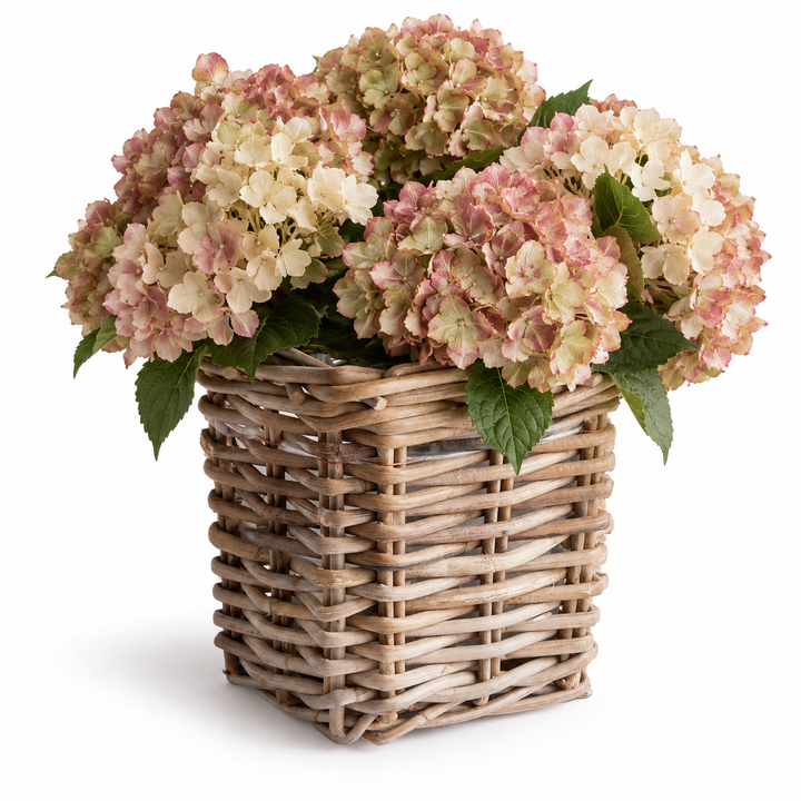 A square woven wicker basket filled with pale pink and cream hydrangea blooms and green leaves, photographed on a clean white background.