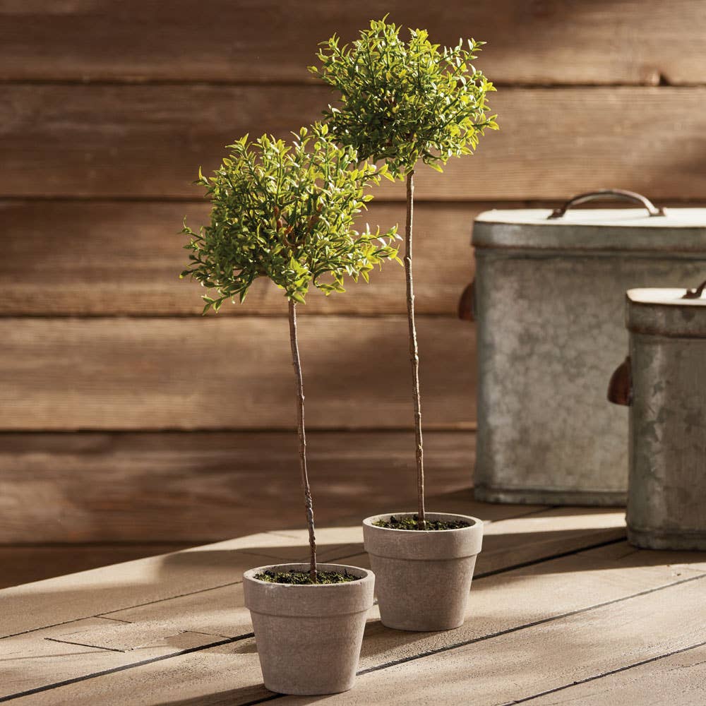 Thyme Faux Topiary 13"
