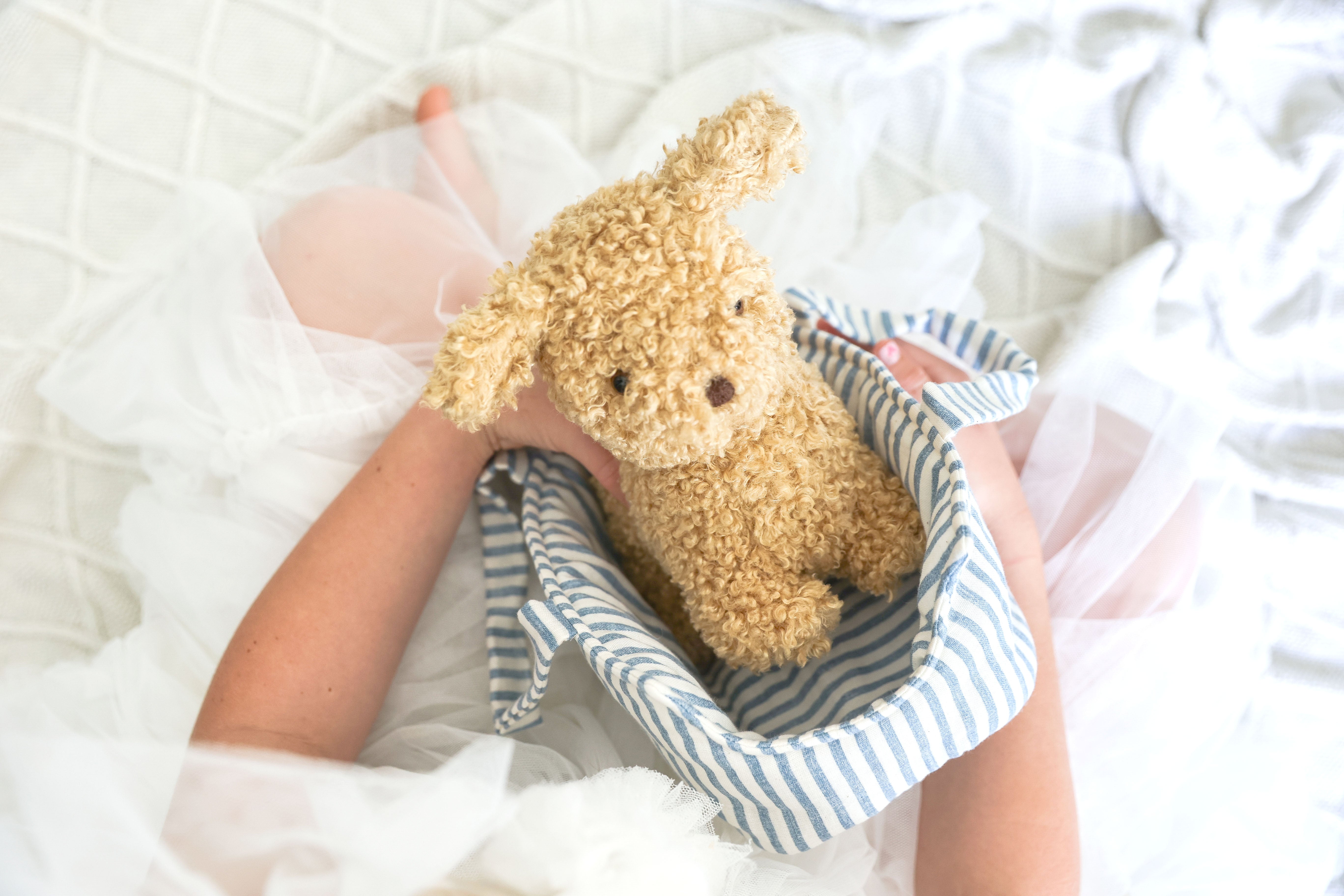 Toffee the Puppy and Carrier | Gardenia Home