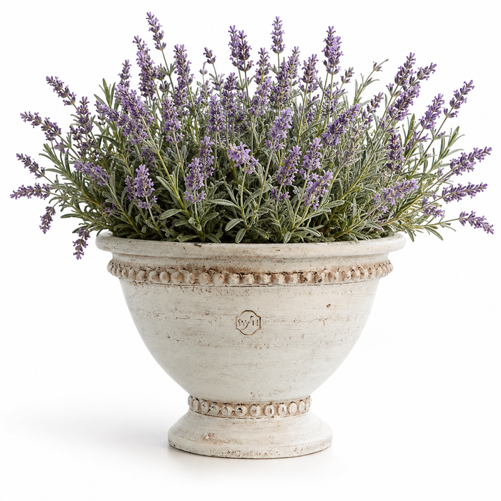 An artificial lavender plant with purple flowers and green leaves in a distressed white ceramic urn planter, photographed on a seamless white background.