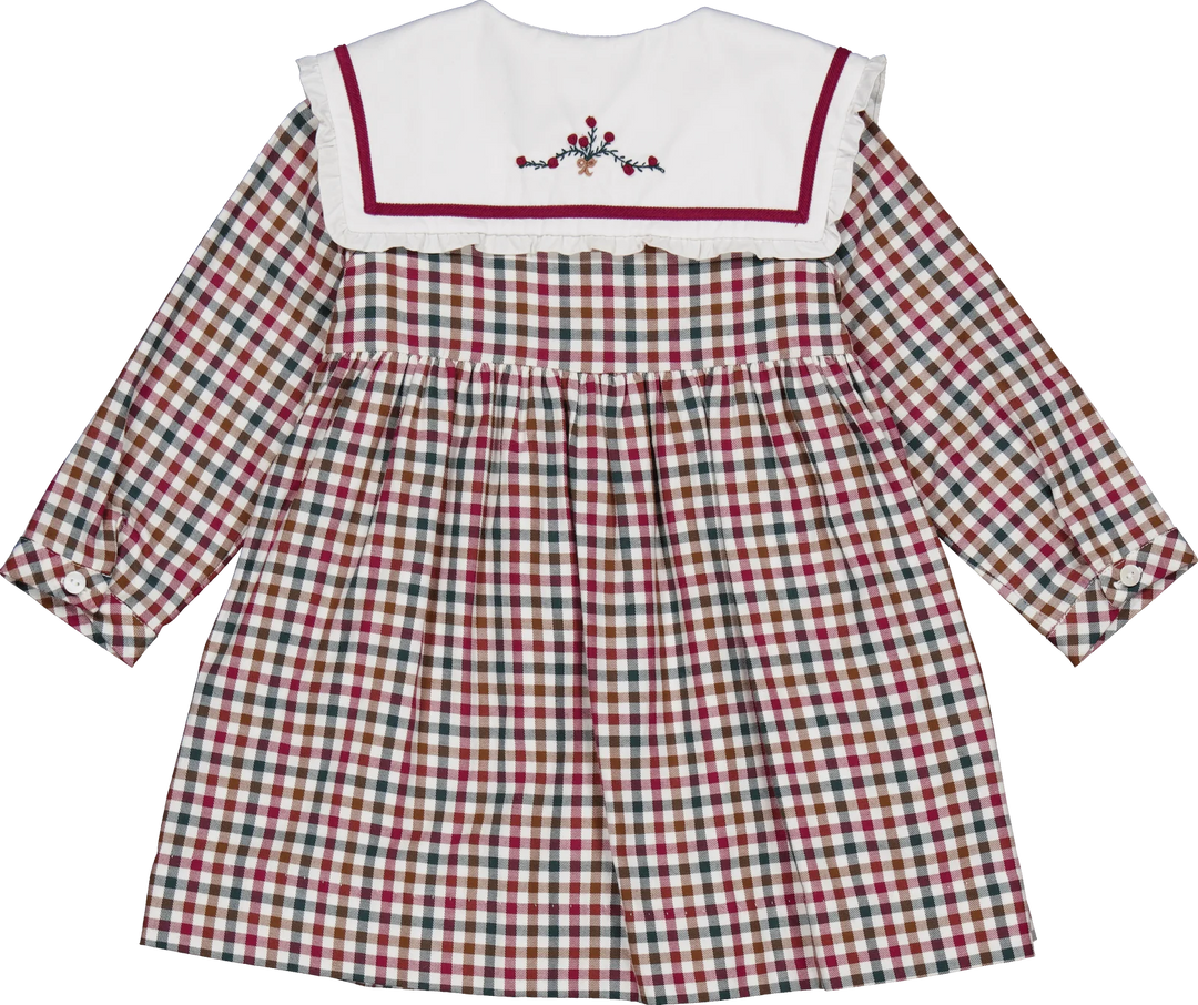 Paola dress in Burgundy and pine gingham
